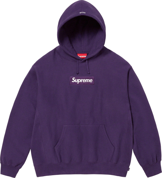 Box Logo Hooded Sweatshirt