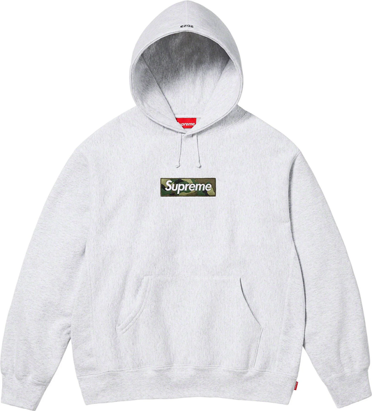 Box Logo Hooded Sweatshirt